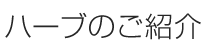 ハーブのご紹介